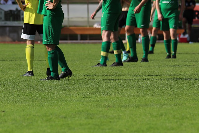 米体：国米看上刘易斯-弗格森，球员身价不低于3000万欧